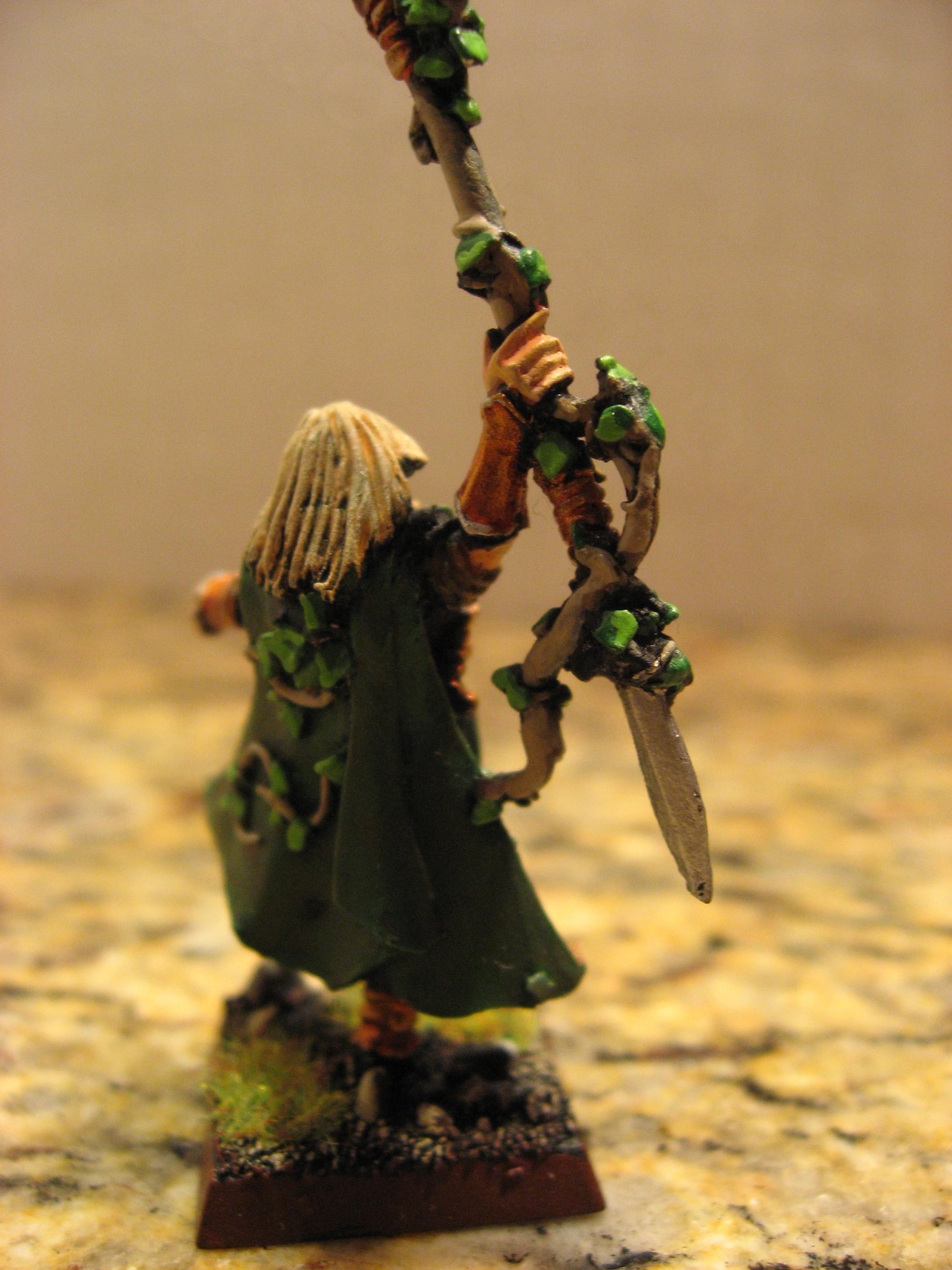 Wood Elf Eternal Guard Commander Wood Elf Eternal Guard Commander